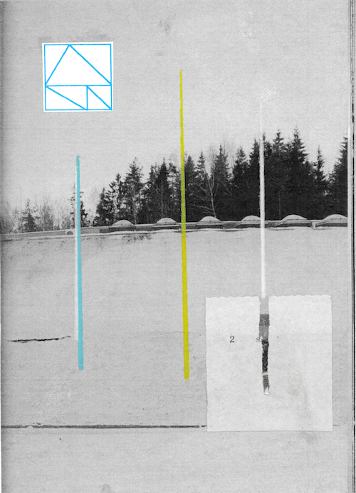 Cedar Sigo cover, collage by Luke Daly. Black and white pine trees in a line.